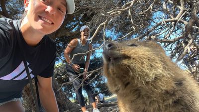 Jessica Pegula's Instagram Adventure on Rottnest Island in Western Australia