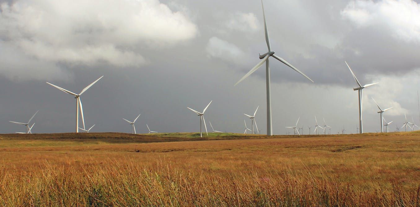 As the US begins to build offshore wind farms, scientists say many  questions remain about impacts on the oceans and marine life