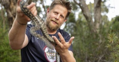 'Absolutely petrified': surprise tourist snakes a way to the capital
