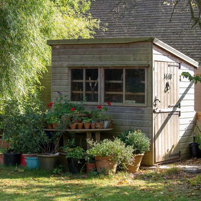 5 budget-friendly ways to keep your shed and greenhouse warm this winter without a heater