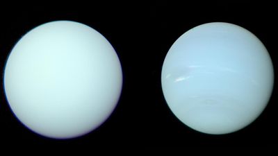 Uranus and Neptune are actually similar blues, 'true' color images reveal