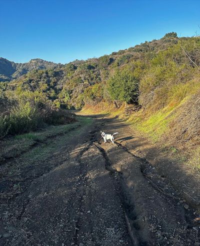 Alexandra Daddario's Serene New Year Moment with Eunice