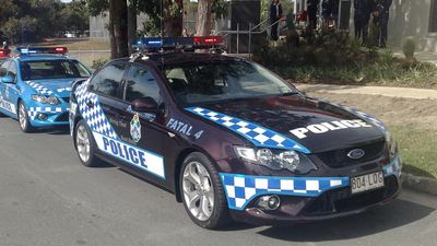 Man dies after 'acting erratically' in police custody