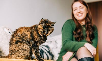 Experience: I own the world’s oldest living cat