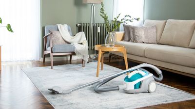 How long does a vacuum last? And how to extend the lifespan of yours