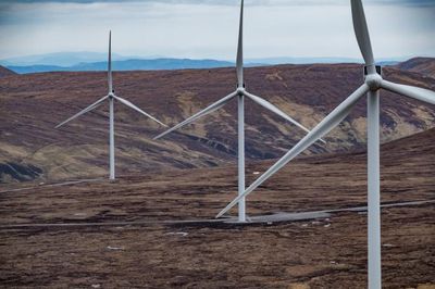 Scottish ministers reject plans for wind farm near English Border after MoD objection