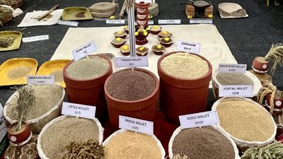 Millets will soon be introduced in Indira Canteens and mid-day meals: Karnataka Chief Minister