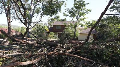 Power back on at 125k Queensland homes after wild storm