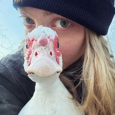 Amanda Seyfried and her Delightful Duck: Charming Moments Captured