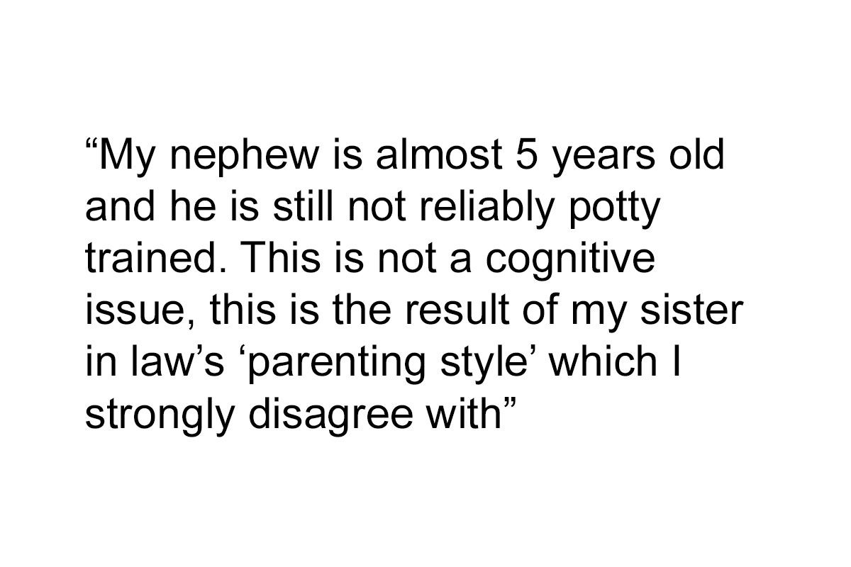 Aunt Refuses To Babysit Her Nephew Until He’s Potty…