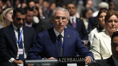 Azerbaijan names former oil executive to head Cop29 climate talks