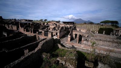 Priceless remains from Pompeii discovered in Belgian home
