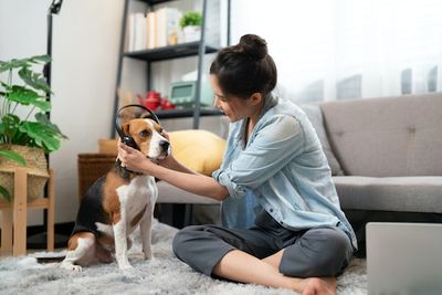 Can Home Electronics Harm Your Pet? A Veterinarian Reveals What To Turn Off