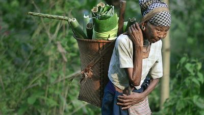 Dining on wild foodstuffs