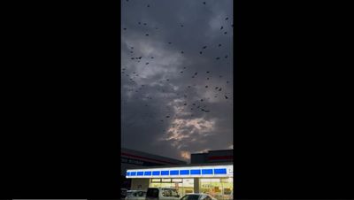 Woman in 90s rescued from home five days after earthquake that killed 126 people in Japan