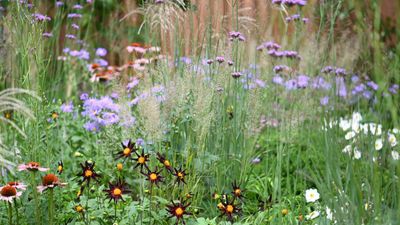 These are the key industry trends we will be embracing in our own backyards – for a sustainable start to the gardening year