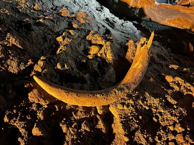 Coal miners in North Dakota unearth a mammoth tusk buried for thousands of years