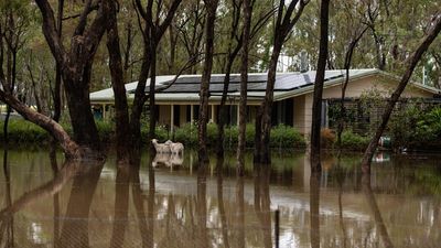 Three months of rain in a day as big wet sets in again