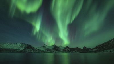 Aurora hunting: What it's like to chase the northern lights along Norway's dramatic coastline