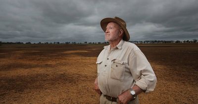 'Storm lotto': farmers face deceiving conditions in Upper Hunter drought
