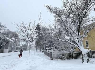 Nor'easter wreaks havoc: Heavy snow, power outages across New England