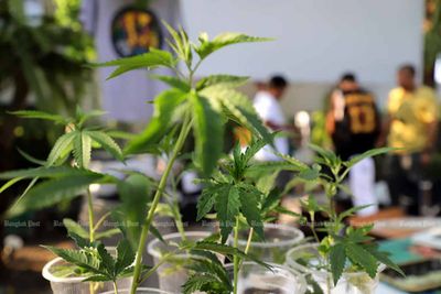 Minister signs bill banning recreational use of weed