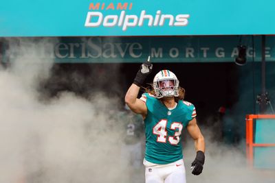 Dolphins LB Andrew Van Ginkel leaves vs. Bills with injury