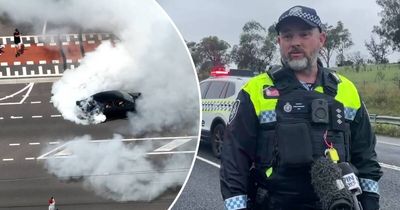 Police slam Summernats illegal burnout 'subspecies' as 'morons' who haven't 'evolved very far'