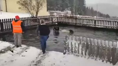Watch This Rally Car Miss An Icy Corner, Slide Directly Into A Swimming Pool