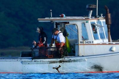 Lobster fishers sue to block monitoring laws designed to help save a rare whale