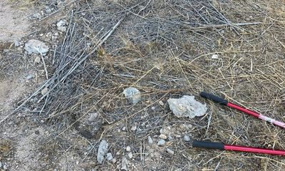Can you spot the rattlesnake? Property inspector almost didn’t