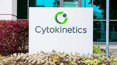 Cytokinetics Has Clawed Back 105% Over Seven Days. Now It Could Score A Buyout.