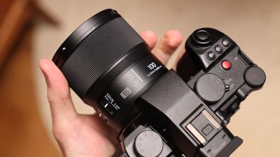Panasonic Lumix S 100mm f/2.8 Macro lens: compact compromises