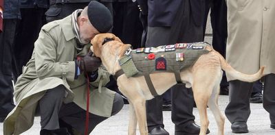 Service dogs play vital roles for veterans, but Canada's lack of standards makes travel and access difficult