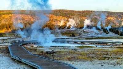 Yellowstone tourist gets instant safety lesson after wandering off boardwalk to photograph hot springs with iPad
