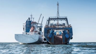 Satellites reveal 75% of world's industrial fishing vessels are 'hidden'