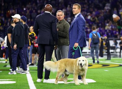 Kirk Herbstreit’s dog Ben and Washington’s live mascot Dubs finally met, and it was adorable
