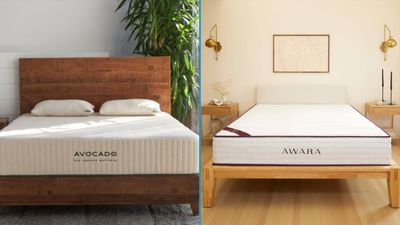 Avocado Green vs Awara mattress: Their cheapest natural beds compared