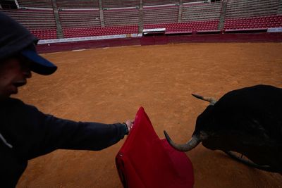 The return of bullfighting to Mexico's capital excites fans and upsets animal rights groups
