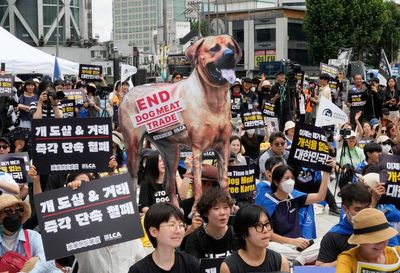 South Korea’s parliament endorses landmark legislation outlawing dog meat industry