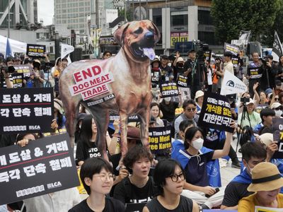 South Korea's parliament endorses landmark legislation outlawing dog meat industry