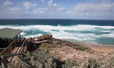 Surfer flown to hospital after South Australia shark attack