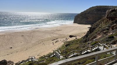 Surfer attacked by shark in South Australia