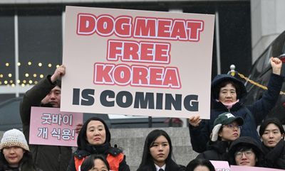 South Korea Parliament Passes Bill Banning Dog Meat Trade