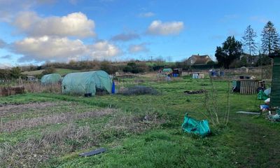 Hampshire allotment holders ‘appalled’ over eviction notices