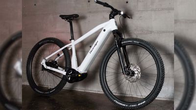 German-Built Electrolyte Bergblitz S9E Touted As Versatile E-Bike