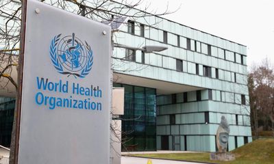 UN envoy criticises ‘one-sided’ WHO approach to trans health guidelines