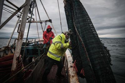 Pilot scheme aims to tackle exploitation of workers in Scotland's fishing industry