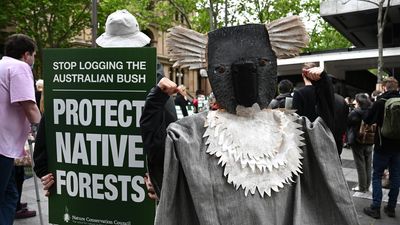 NSW premier flags pivot for forestry after court battle