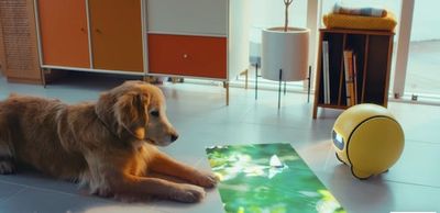 Samsung's Ballie Robot is Now an AI Projector On Wheels